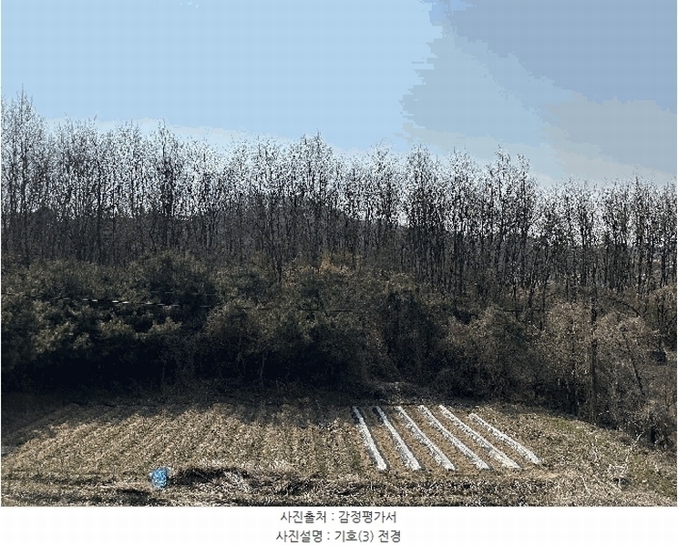 2025타경502006 세종특별자치시 부강면 산수리 216-4 임야 경매 이미지