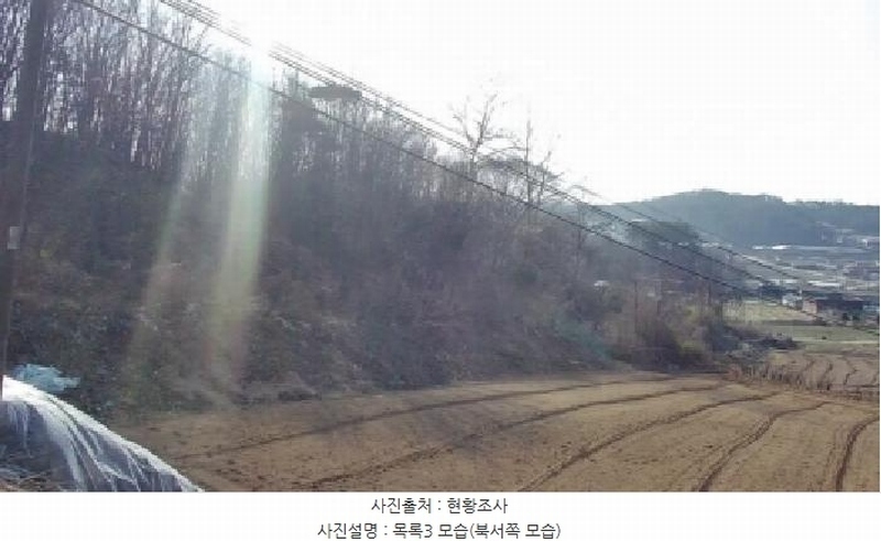 2025타경502006 세종특별자치시 부강면 산수리 216-4 임야 경매 이미지
