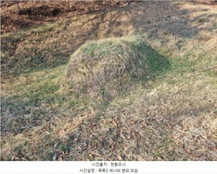 2025타경502006 세종특별자치시 부강면 산수리 216-4 임야 경매 이미지