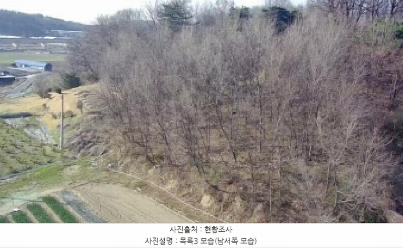 2025타경502006 세종특별자치시 부강면 산수리 216-4 임야 경매 이미지