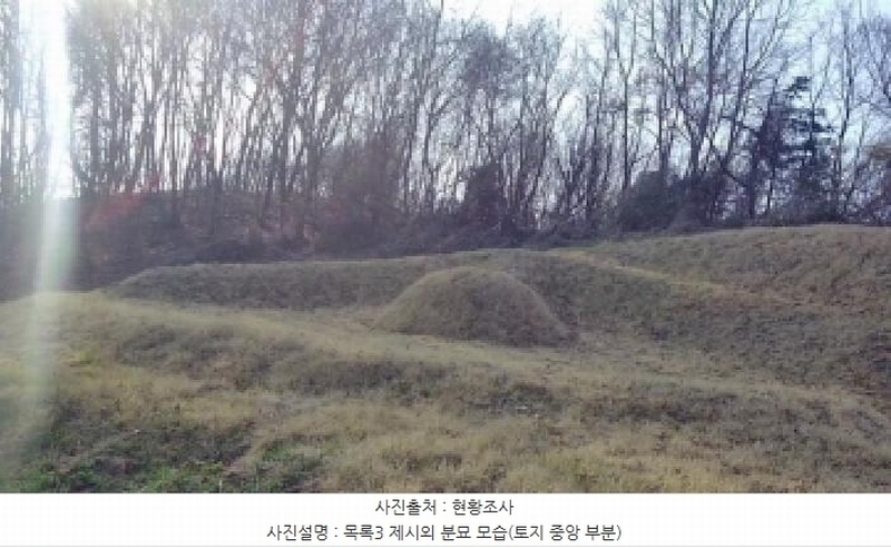 2025타경502006 세종특별자치시 부강면 산수리 216-4 임야 경매 이미지