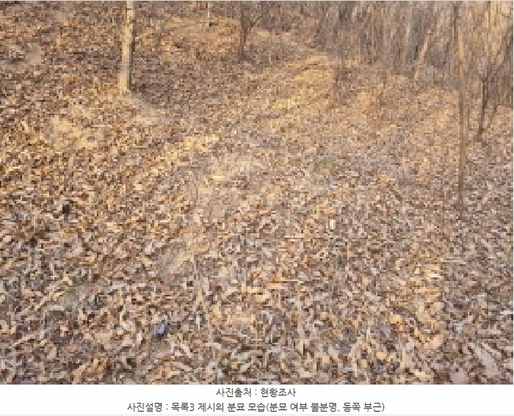 2025타경502006 세종특별자치시 부강면 산수리 216-4 임야 경매 이미지