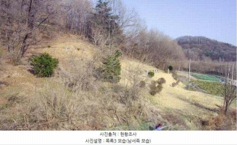 2025타경502006 세종특별자치시 부강면 산수리 216-4 임야 경매 이미지