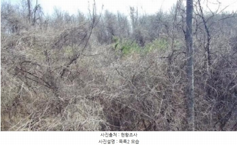 2025타경502006 세종특별자치시 부강면 산수리 216-4 임야 경매 이미지