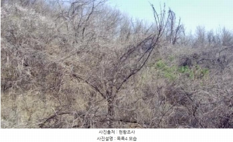 2025타경502006 세종특별자치시 부강면 산수리 216-4 임야 경매 이미지