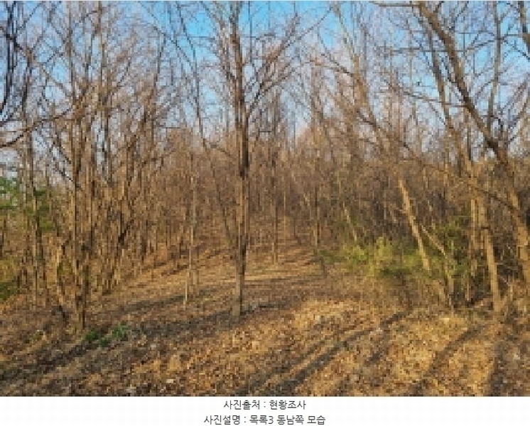 2025타경502006 세종특별자치시 부강면 산수리 216-4 임야 경매 이미지