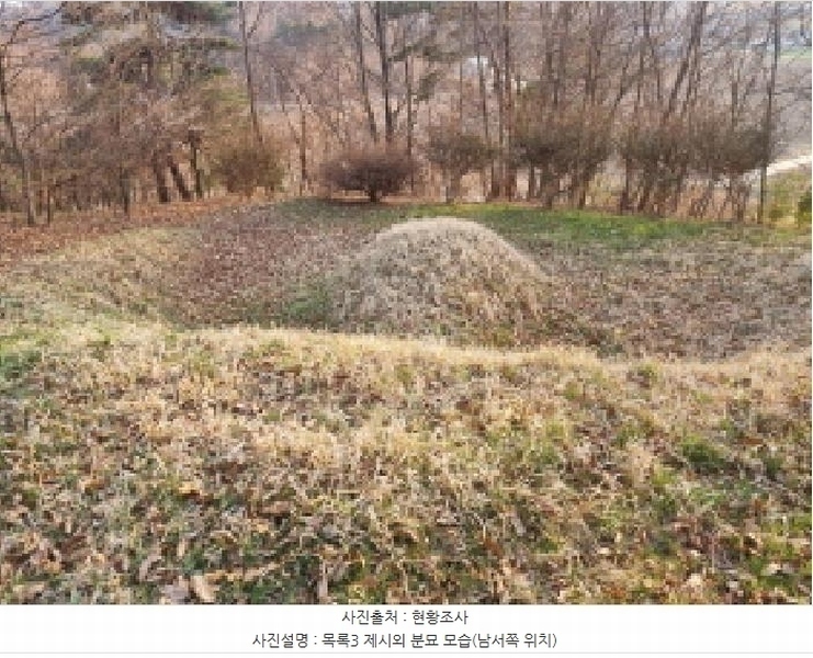 2025타경502006 세종특별자치시 부강면 산수리 216-4 임야 경매 이미지
