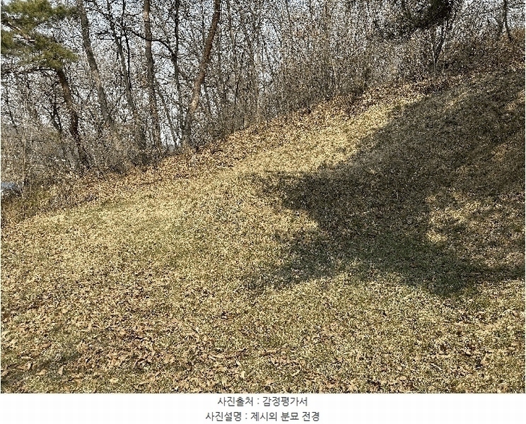 2025타경502006 세종특별자치시 부강면 산수리 216-4 임야 경매 이미지