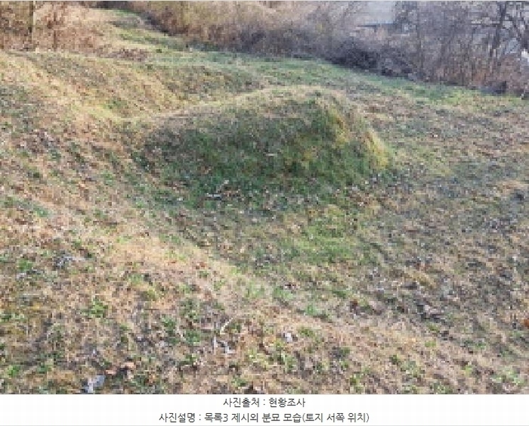 2025타경502006 세종특별자치시 부강면 산수리 216-4 임야 경매 이미지