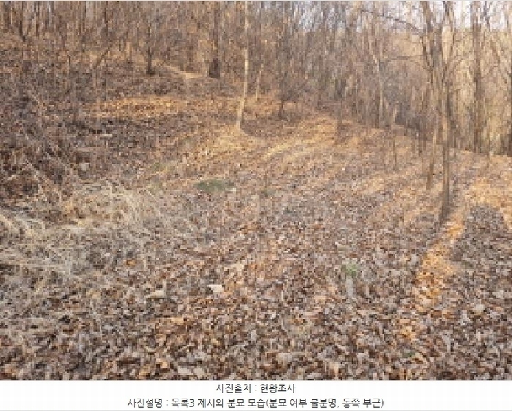 2025타경502006 세종특별자치시 부강면 산수리 216-4 임야 경매 이미지