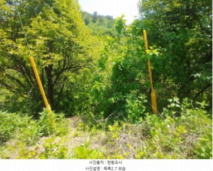 2025타경2859 충청남도 금산군 진산면 지방리 255-5 임야 경매 이미지