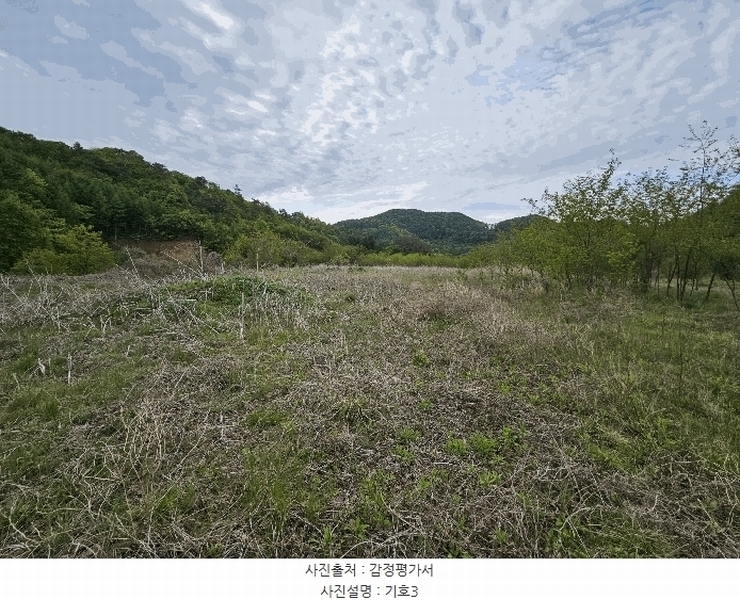 2025타경2859 충청남도 금산군 진산면 지방리 255-5 임야 경매 이미지