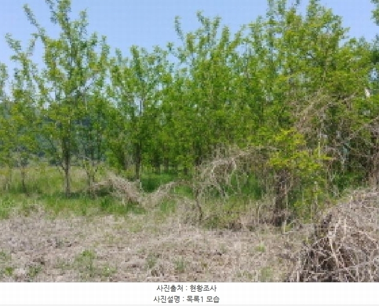 2025타경2859 충청남도 금산군 진산면 지방리 255-5 임야 경매 이미지