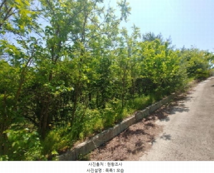 2025타경2859 충청남도 금산군 진산면 지방리 255-5 임야 경매 이미지