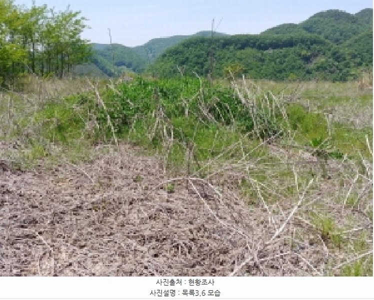 2025타경2859 충청남도 금산군 진산면 지방리 255-5 임야 경매 이미지