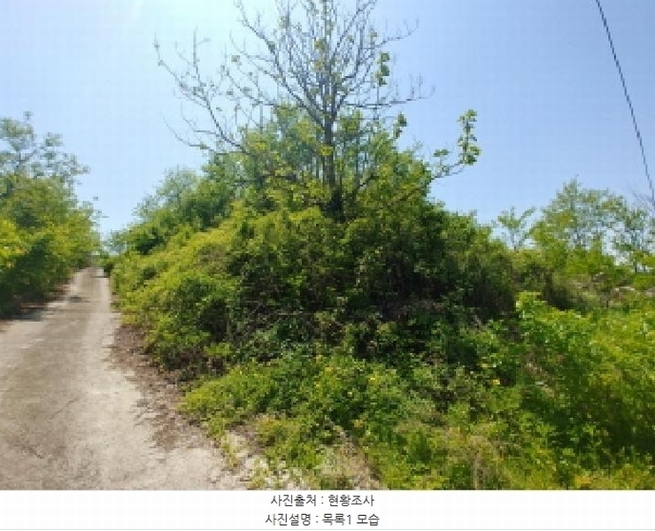 2025타경2859 충청남도 금산군 진산면 지방리 255-5 임야 경매 이미지