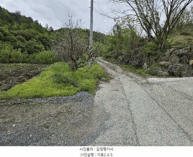 2025타경2859 충청남도 금산군 진산면 지방리 255-5 임야 경매 이미지