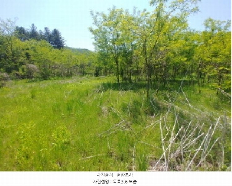2025타경2859 충청남도 금산군 진산면 지방리 255-5 임야 경매 이미지