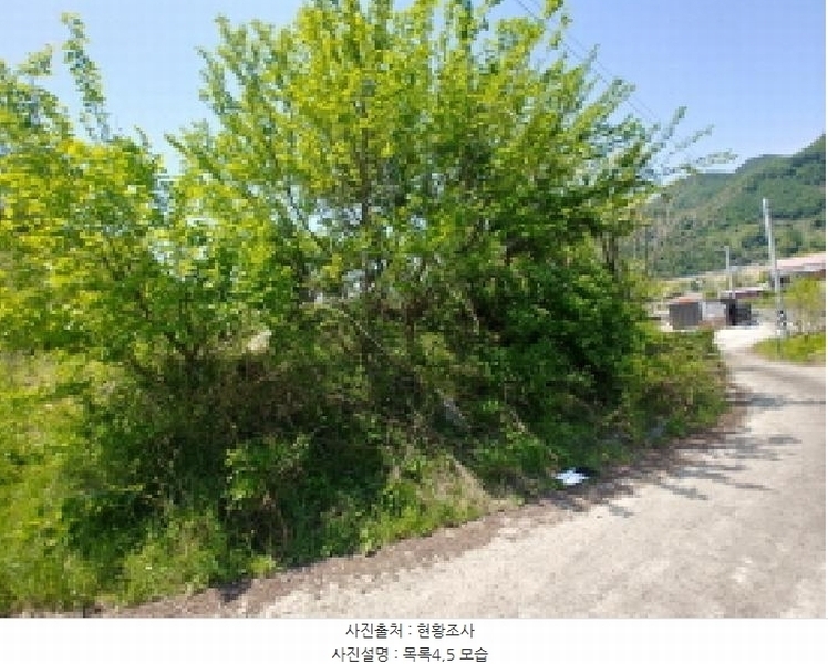 2025타경2859 충청남도 금산군 진산면 지방리 255-5 임야 경매 이미지