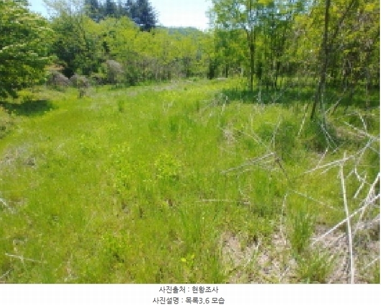 2025타경2859 충청남도 금산군 진산면 지방리 255-5 임야 경매 이미지