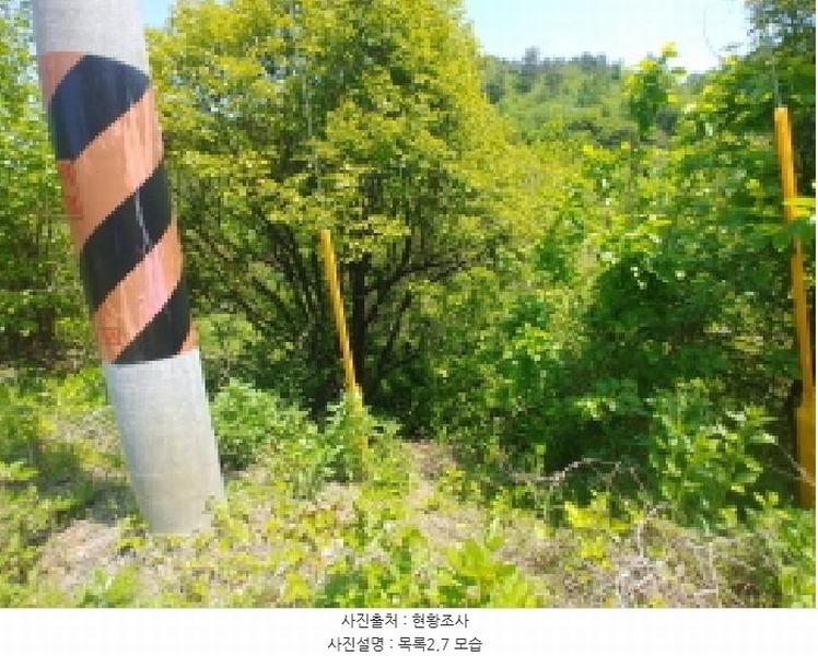 2025타경2859 충청남도 금산군 진산면 지방리 255-5 임야 경매 이미지