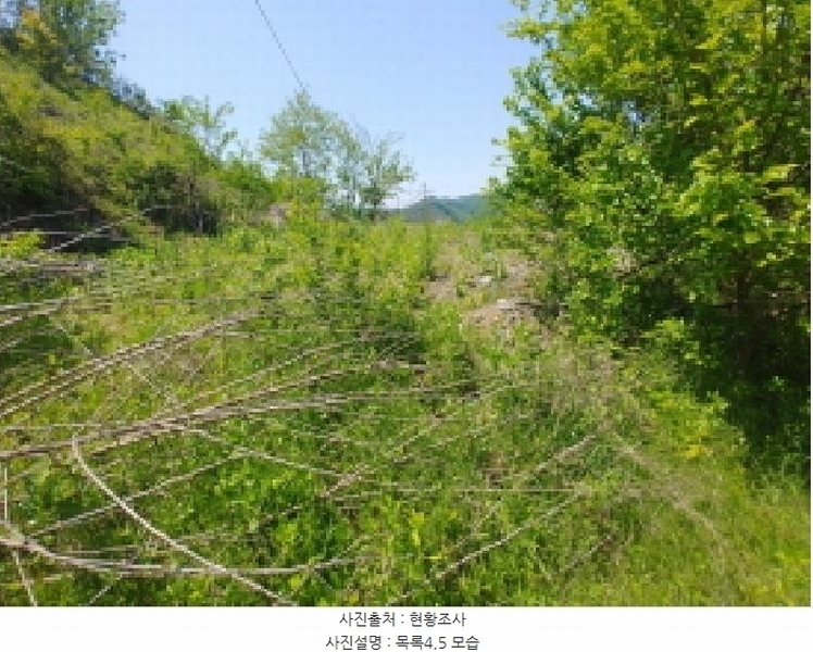 2025타경2859 충청남도 금산군 진산면 지방리 255-5 임야 경매 이미지