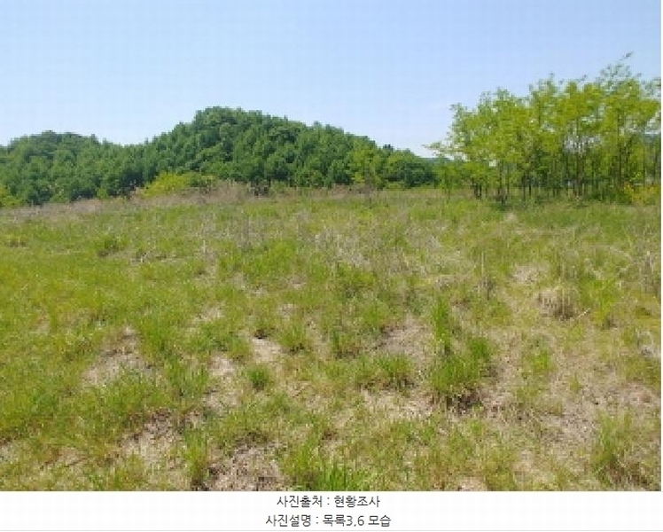 2025타경2859 충청남도 금산군 진산면 지방리 255-5 임야 경매 이미지