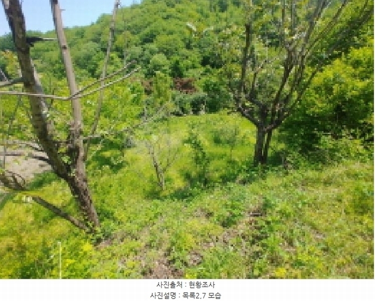 2025타경2859 충청남도 금산군 진산면 지방리 255-5 임야 경매 이미지