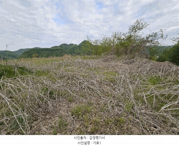 2025타경2859 충청남도 금산군 진산면 지방리 255-5 임야 경매 이미지