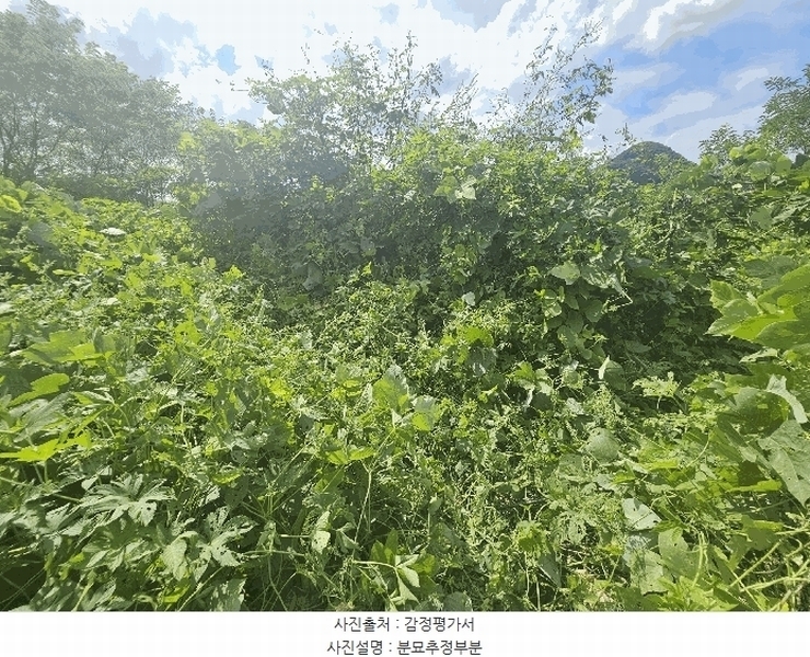 2025타경2859 충청남도 금산군 진산면 지방리 255-5 임야 경매 이미지
