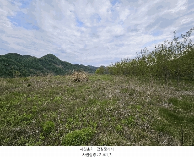 2025타경2859 충청남도 금산군 진산면 지방리 255-5 임야 경매 이미지