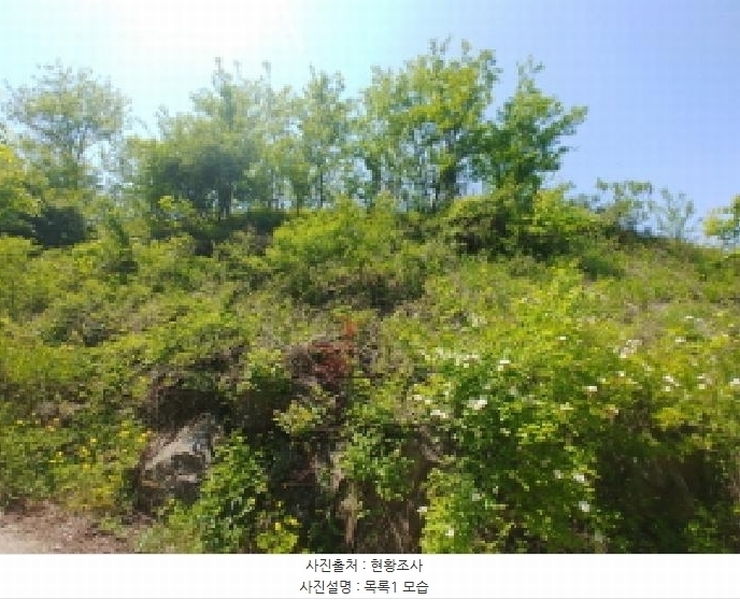 2025타경2859 충청남도 금산군 진산면 지방리 255-5 임야 경매 이미지