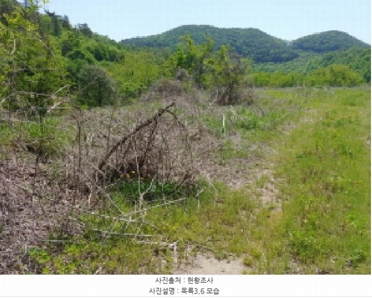 2025타경2859 충청남도 금산군 진산면 지방리 255-5 임야 경매 이미지