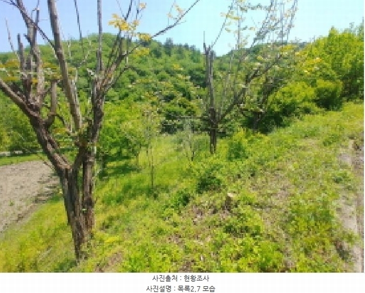 2025타경2859 충청남도 금산군 진산면 지방리 255-5 임야 경매 이미지