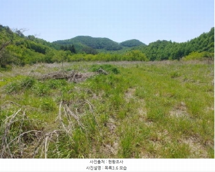 2025타경2859 충청남도 금산군 진산면 지방리 255-5 임야 경매 이미지
