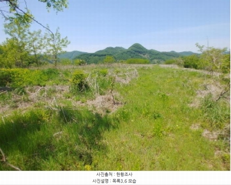 2025타경2859 충청남도 금산군 진산면 지방리 255-5 임야 경매 이미지