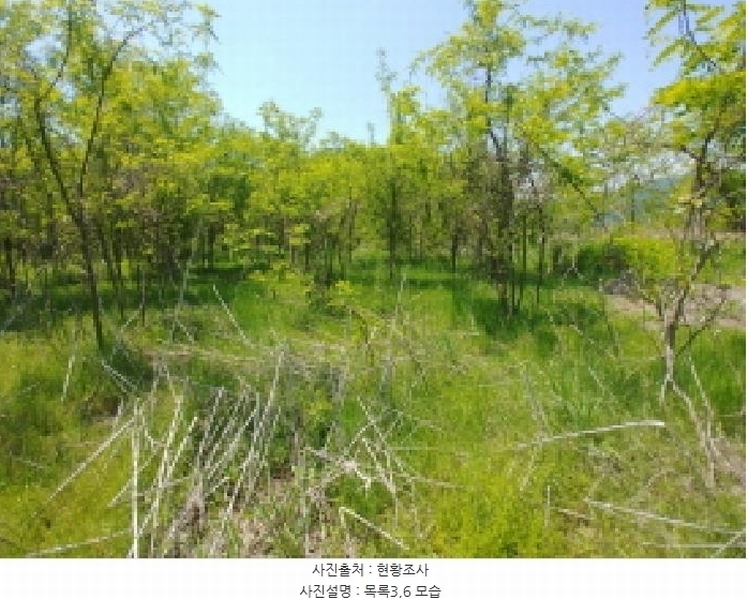 2025타경2859 충청남도 금산군 진산면 지방리 255-5 임야 경매 이미지
