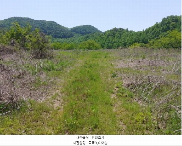 2025타경2859 충청남도 금산군 진산면 지방리 255-5 임야 경매 이미지