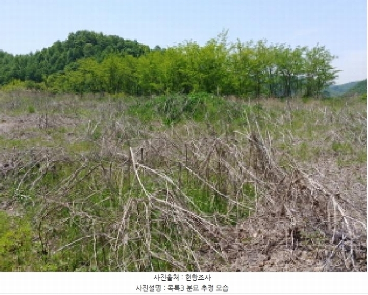 2025타경2859 충청남도 금산군 진산면 지방리 255-5 임야 경매 이미지