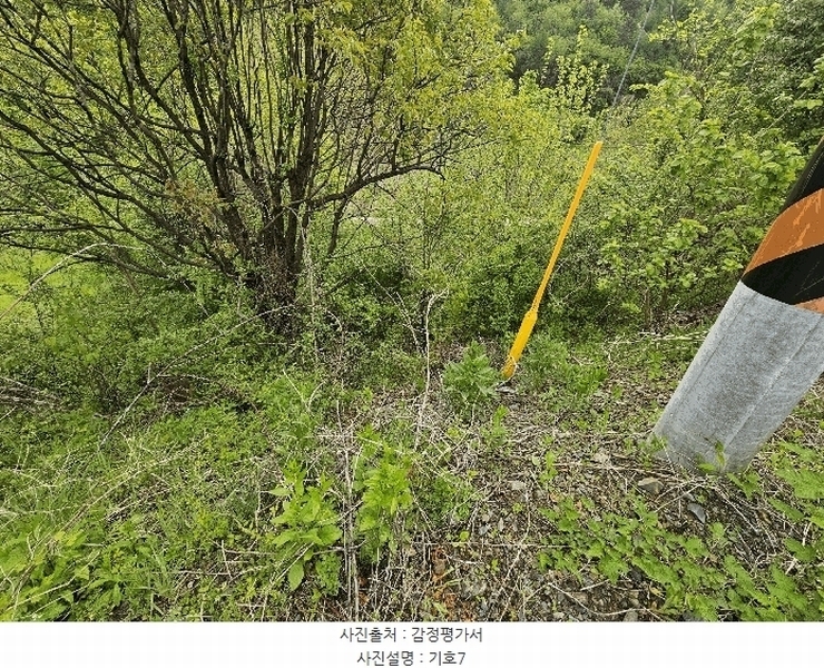 2025타경2859 충청남도 금산군 진산면 지방리 255-5 임야 경매 이미지