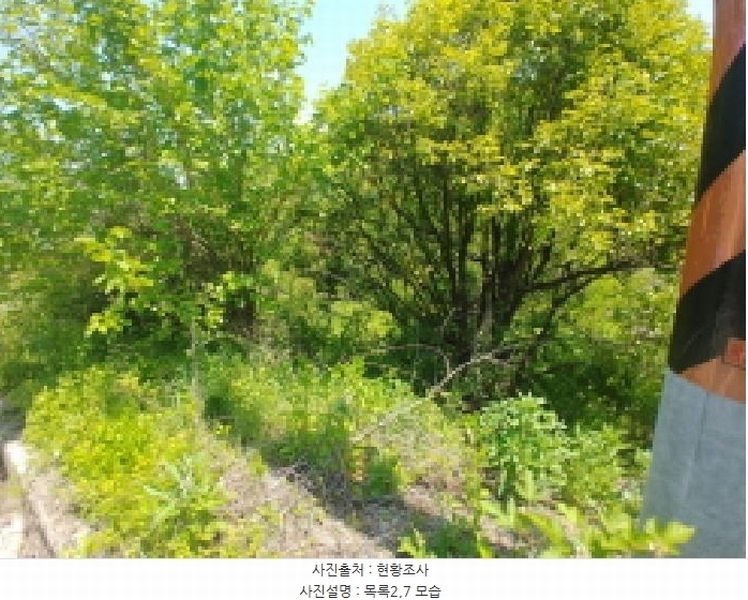 2025타경2859 충청남도 금산군 진산면 지방리 255-5 임야 경매 이미지