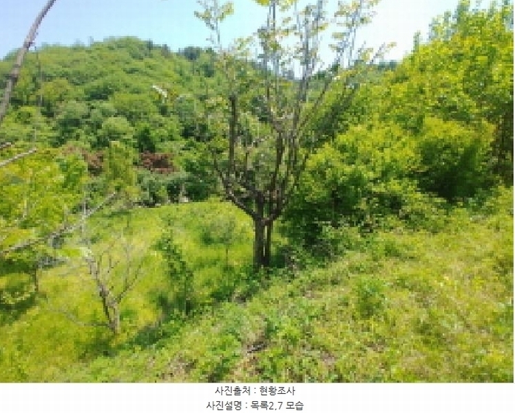 2025타경2859 충청남도 금산군 진산면 지방리 255-5 임야 경매 이미지
