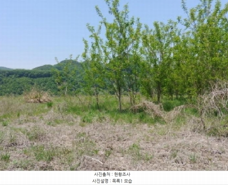 2025타경2859 충청남도 금산군 진산면 지방리 255-5 임야 경매 이미지