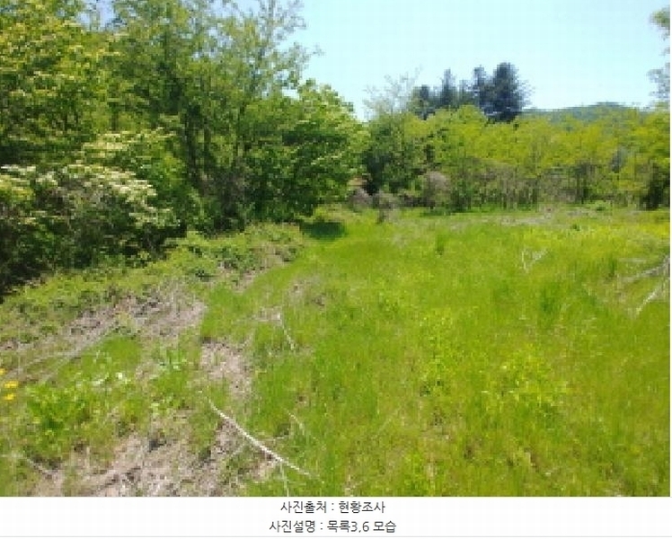 2025타경2859 충청남도 금산군 진산면 지방리 255-5 임야 경매 이미지