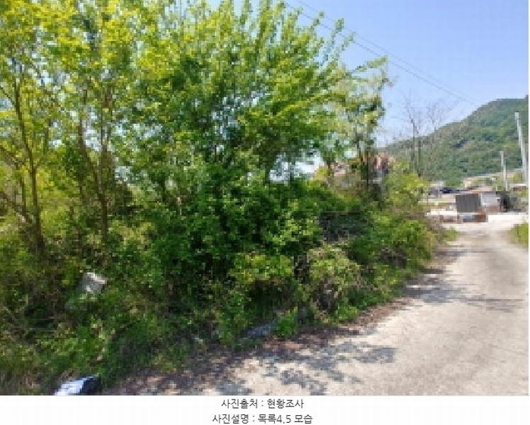 2025타경2859 충청남도 금산군 진산면 지방리 255-5 임야 경매 이미지