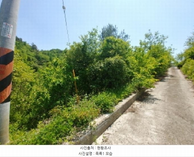 2025타경2859 충청남도 금산군 진산면 지방리 255-5 임야 경매 이미지