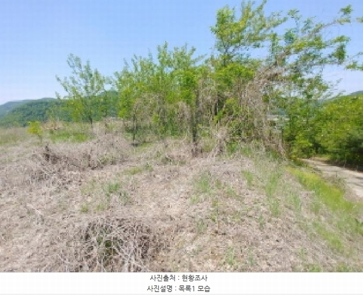 2025타경2859 충청남도 금산군 진산면 지방리 255-5 임야 경매 이미지