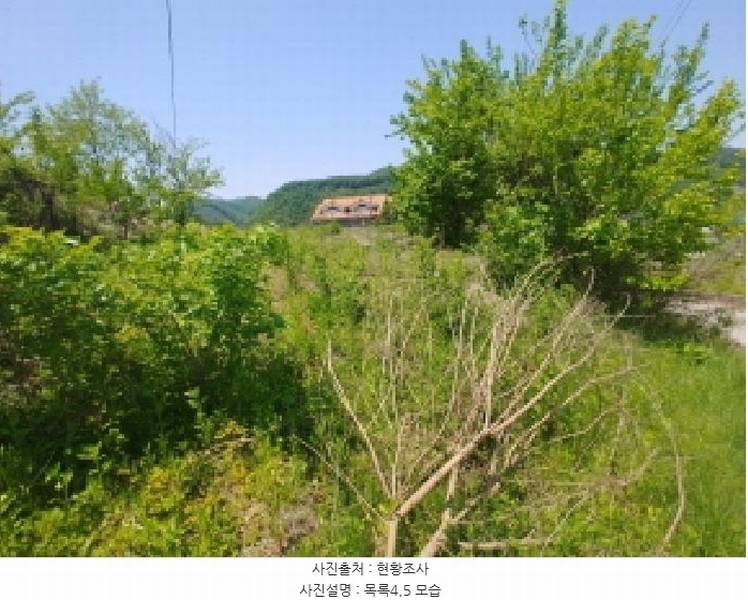 2025타경2859 충청남도 금산군 진산면 지방리 255-5 임야 경매 이미지