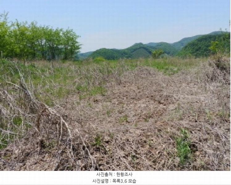 2025타경2859 충청남도 금산군 진산면 지방리 255-5 임야 경매 이미지