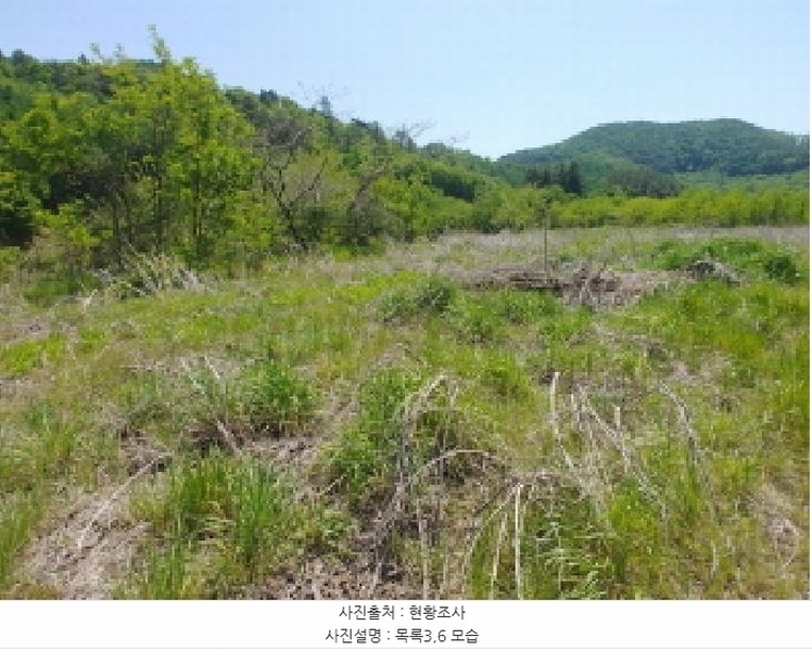 2025타경2859 충청남도 금산군 진산면 지방리 255-5 임야 경매 이미지